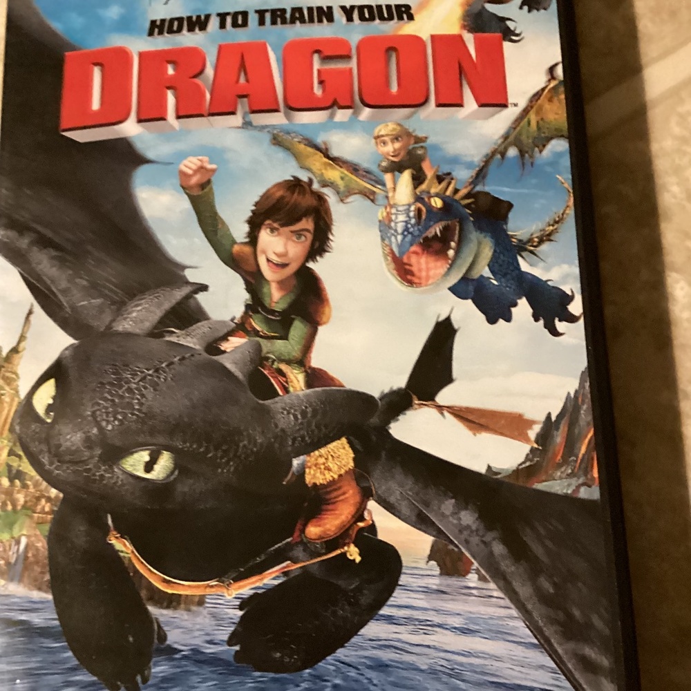 ~ How To Train Your Dragon Part 1 DVD ~